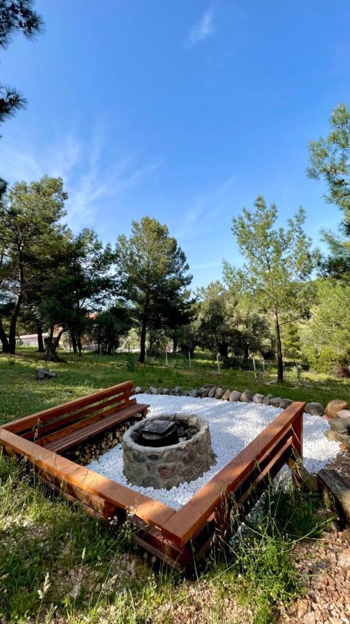 Panurlawoodenhouse Oezel Havuz& Sauna Mavi Εξωτερικό φωτογραφία