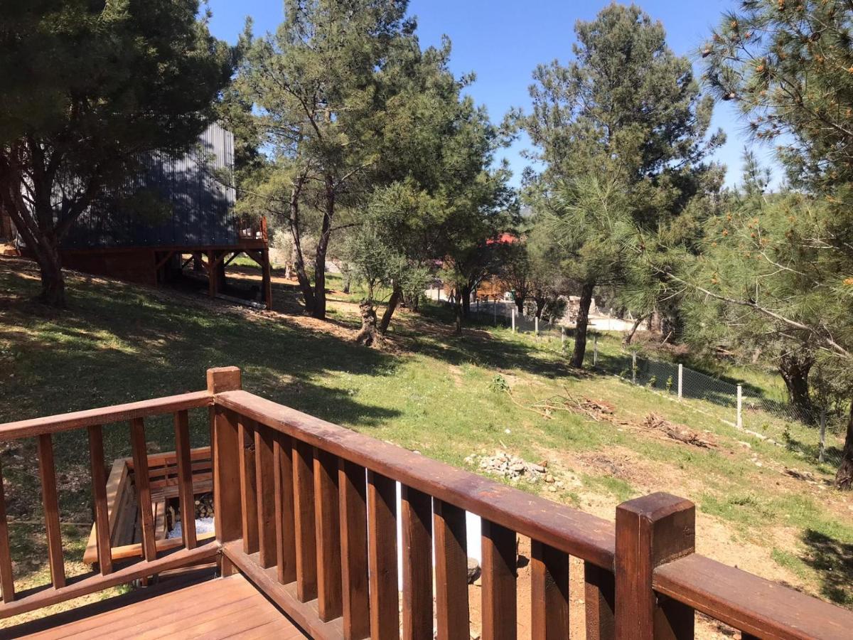 Panurlawoodenhouse Oezel Havuz& Sauna Mavi Εξωτερικό φωτογραφία