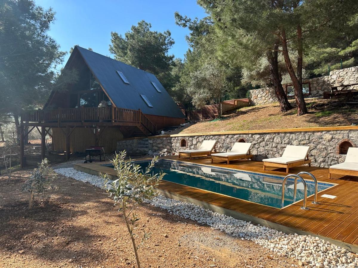 Panurlawoodenhouse Oezel Havuz& Sauna Mavi Εξωτερικό φωτογραφία