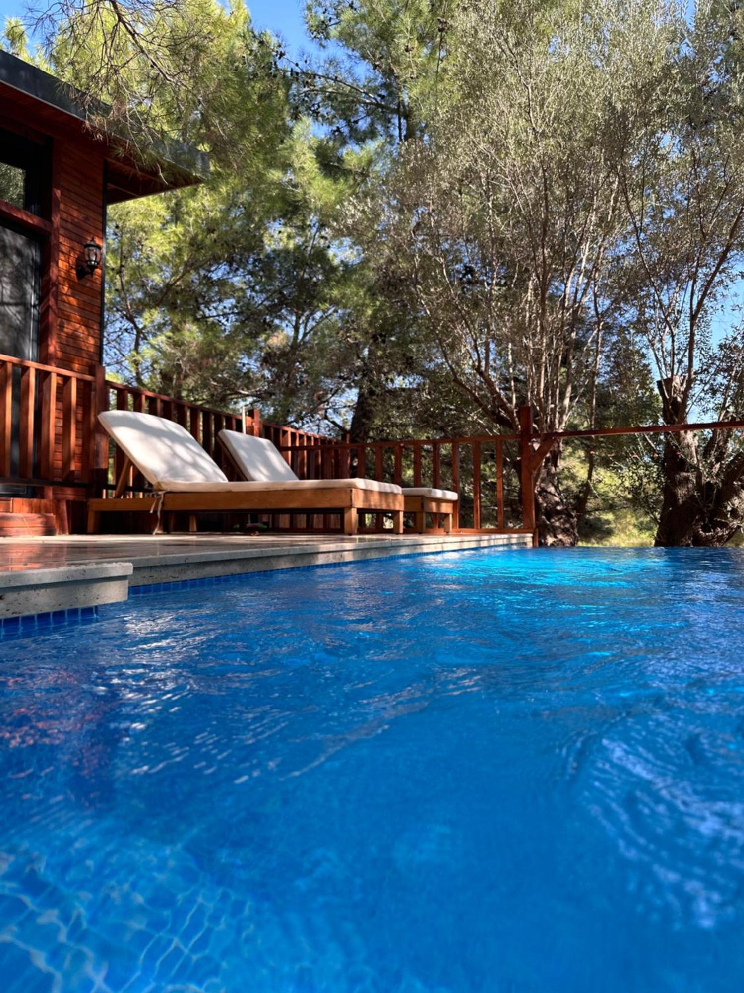 Panurlawoodenhouse Oezel Havuz& Sauna Mavi Εξωτερικό φωτογραφία