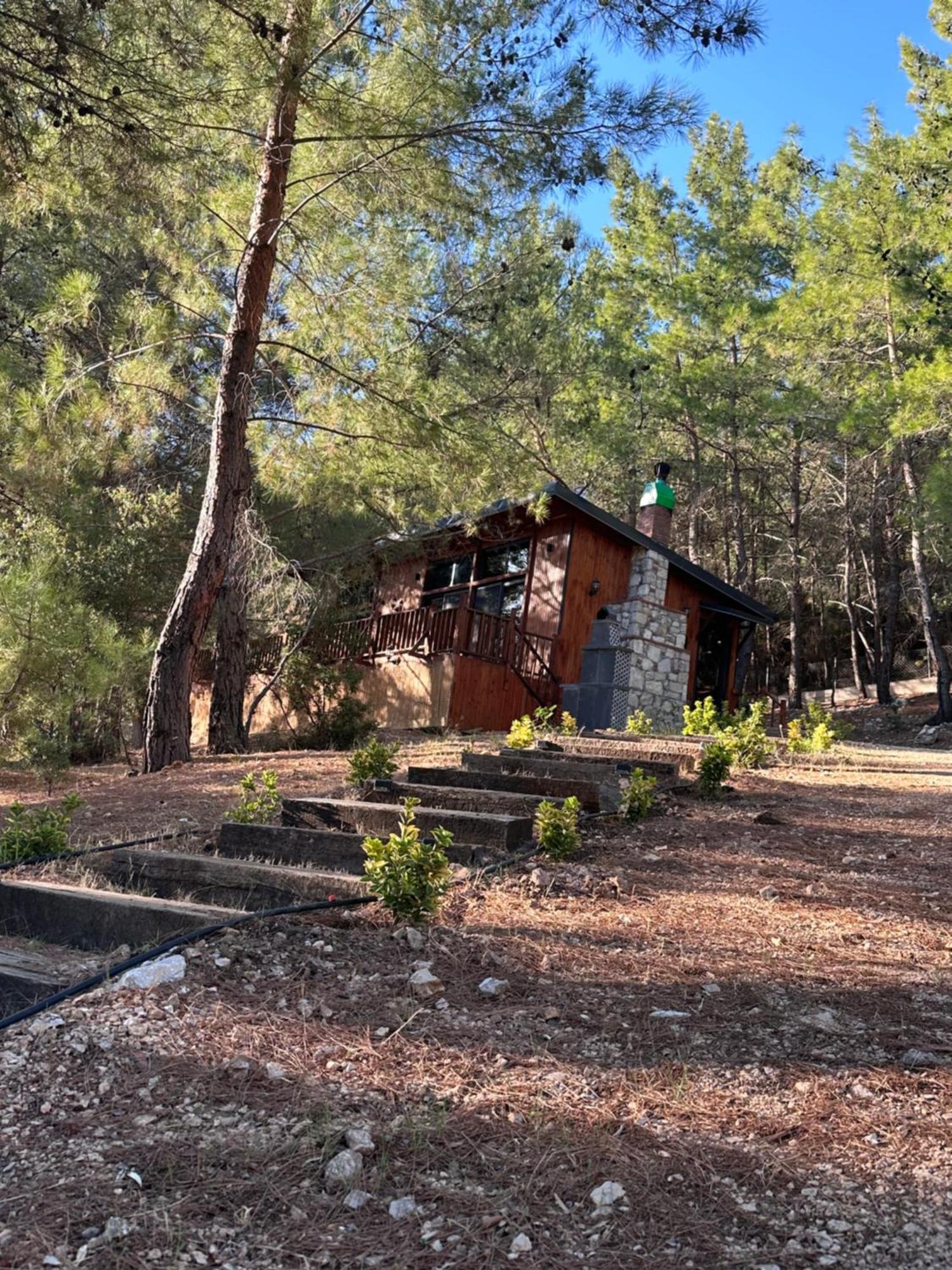 Panurlawoodenhouse Oezel Havuz& Sauna Mavi Εξωτερικό φωτογραφία